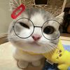 raa_sc2423