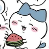 24h miss Guke