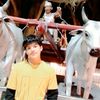 suresh.tamang67