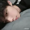lmnht511