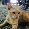 kangaditofficial027