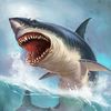 sharky5879