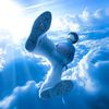 alidiscipline6