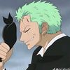 zoro.bf1
