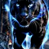 user7662100956144