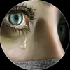 user278056586