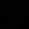 nosoycam12