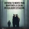 user7423681140328