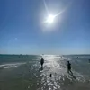 gulsenbeb