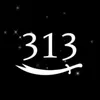 frsfrh_313