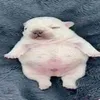 poskunosku