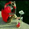 user121555874587