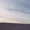 milancyt6rk