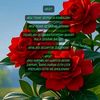 ummu.rahmani2