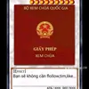 user4346251737