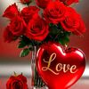 loverofkrn