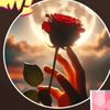 user77271787072817