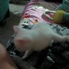 christine.durbin6