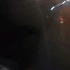 hannnn_13839
