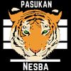 nesba80