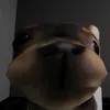 tintinff94