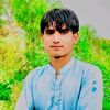 user244184613