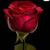 biswas.pronoy