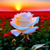 xeyale778