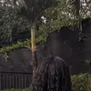 bloodmy77
