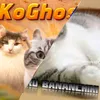 koghostko