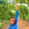 user182519234750