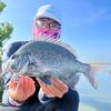 tainanfisher
