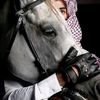 سايل