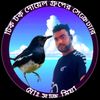 mdsaju8956
