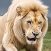 tiktok.comahmed0090ahmed