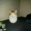 chikoz_chikoz