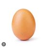 regular_egg