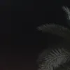 user56394866120466