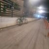 diarmtb05