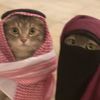 ch7alkm