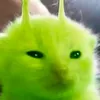 gatino45