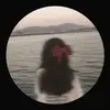 zzaalp0