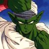 piccolo3626