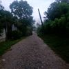 jos3pe_
