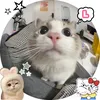 lonhatlinh1111