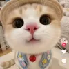 hmoobyaj9354