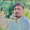 sherwali465