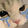 ni_aini0