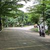 pelari.kalcer90