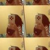 ciluung4